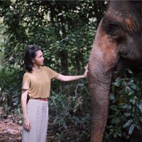 IB (@aibeeplain) 's Twitter Profile