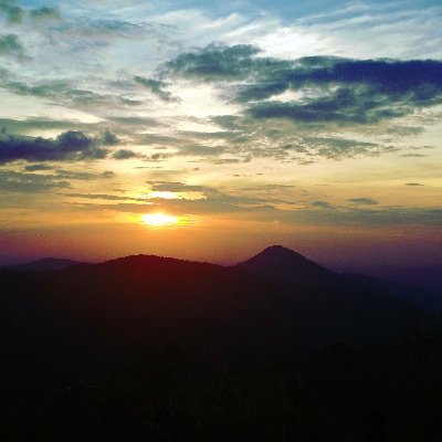 Blogupdates3's profile picture. 
