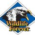 Wildlife Forever (@wildlifeforever) Twitter profile photo