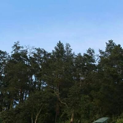 bukanreezza's profile picture. 4HAFN