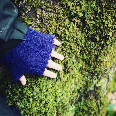 Somerset Nature Connections Partnership Project @SomersetWT @Quantockhills @mendiphillsaonb and @blackdownsaonb