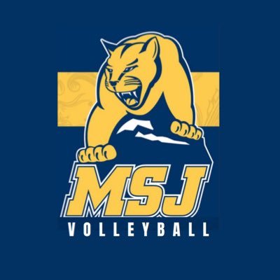 Mount St. Joseph University Women’s Volleyball | Instagram: msjwvb | TikTok: msjwvolleyball