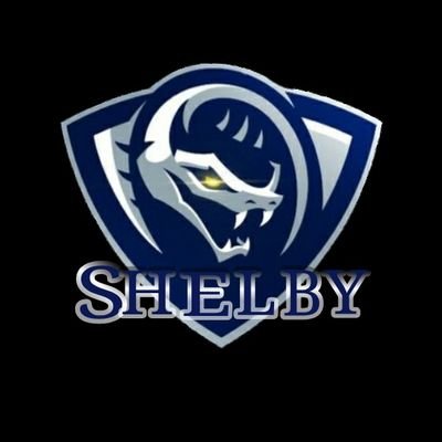 Shelby_Oficial