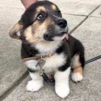 Symbo64 (@symbo64) 's Twitter Profile