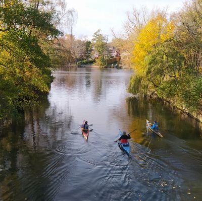 PatL59131930's profile picture. $BTC