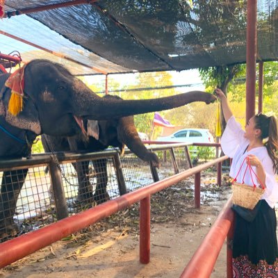 68Kzm's profile picture. メンヘラアラサーデイズ🧚🏻‍♀️