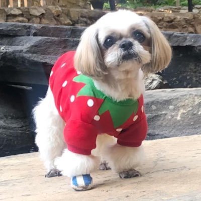 Don_bother_me's profile picture. ต้องการความเป็นส่วนตัว มีไว้ปลดปล่อย ระบาย ตะโกนนนน