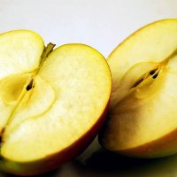 PipPip (@pirripphil) 's Twitter Profile Photo