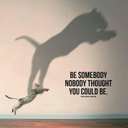 Joshida - @aisha_parks - Twitter