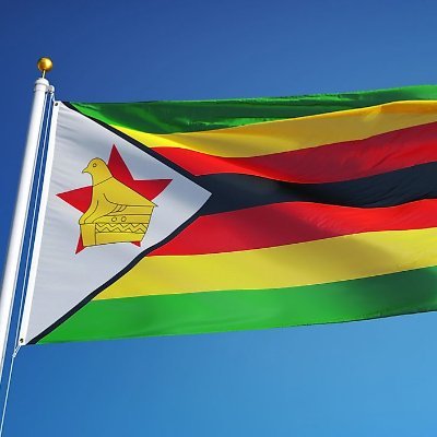 MakeStonksZimbabweAgain