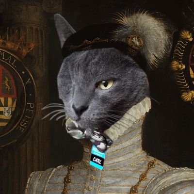 Former historian. Civil servant. Writer of zombie fiction. Come for the history, stay for the cat pics. Tweets are my own. Retweets aren’t endorsements. she/her