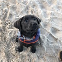 Jeff Fudge (@jeffrey_fudge) 's Twitter Profile