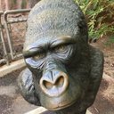 Marc - @MarcGlaser4 - Twitter