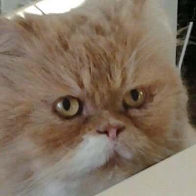 robfer2010's profile picture. 