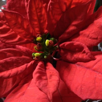 0LItuXzV1jSPpmH's profile picture. 