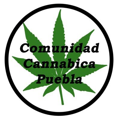 Movimiento que surge con la idea de la legalizar, normalizar y respetar el uso lúdico recreativo y medicinal del cannabis; Hasta la Victoria Verde. 💚