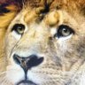 MoneyPro4U's profile picture. Solve Liquidity Problems Discover How to Access Your $Money💵💴💶💷 Quickly & Easily. Loans of $5-$500million+ Great Terms…DM me for details👍 #BeALion #CashNow