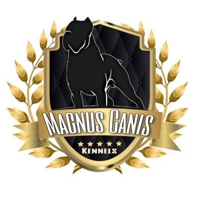 Magnus Canis Kennel is an upcoming private dog kennel looking to provide services to the Hampton Road Area of Virginia
