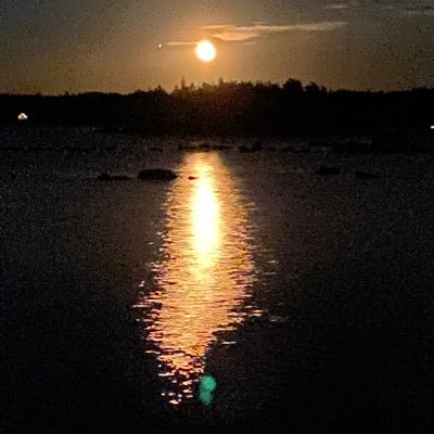 necker71's profile picture. 