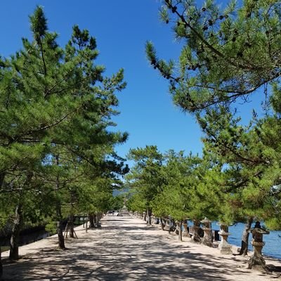 1958625's profile picture. PGY5 救命救急 総合内科