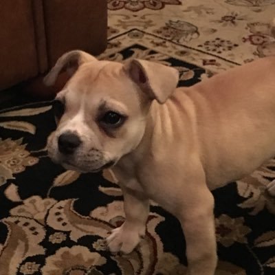 tmansresell's profile picture. I am washed | Discord: Tman#8964