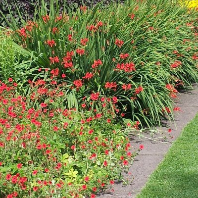 AshiChauhan22's profile picture. Post Doctoral Research Fellow