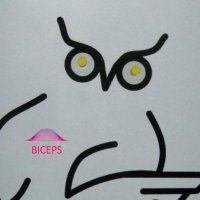 BICEPS Laboratory(@BICEPS_Lab) 's Twitter Profile Photo