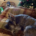 maryann mcginnis - @McginnisMaryann - Twitter