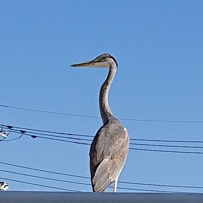 2019年の春に転職してバス運転士になりました。
日々奮闘中です😄