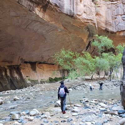 vinshm's profile picture. 