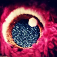 apple (@sppingping) 's Twitter Profile