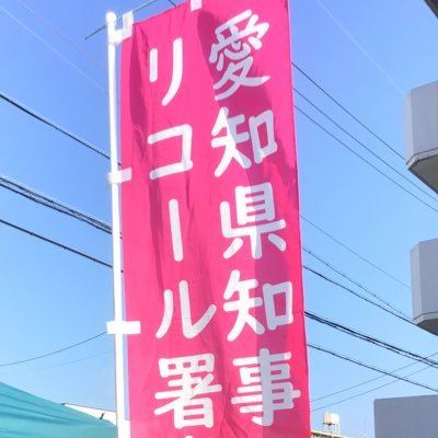 愛知 100 万 人 リコール の 会