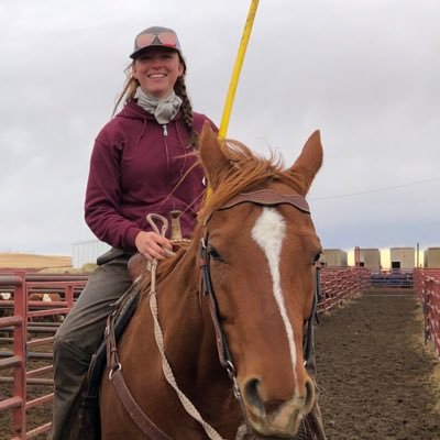 cow/calf, day help, occasional dairy farmer. Clinton ON / mankota SK