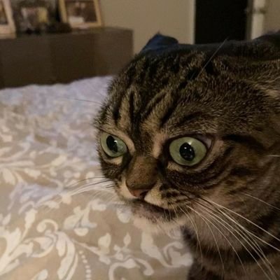 bukanhipokrit's profile picture. Deactivated account