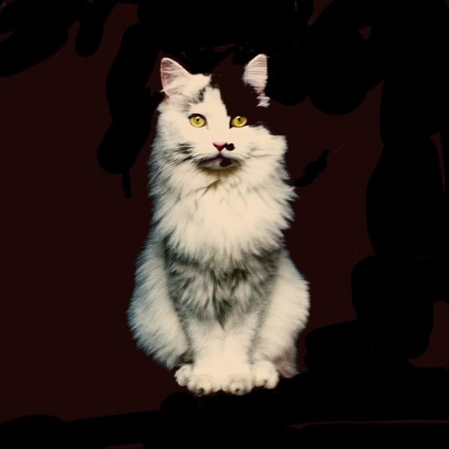 Barneybabs's profile picture. 