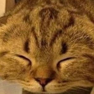 _bread_bum's profile picture. Hands shaking so much I think I have Parkinson’s