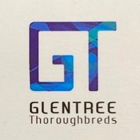Glentree Thoroughbreds (@glentreetbreds) 's Twitter Profile