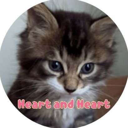 y_heartandheart Profile Picture