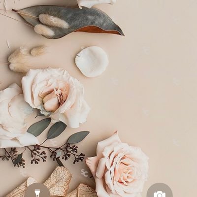 Masooma_Majed's profile picture. 