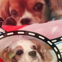 tsuyoshi (@tsuyoshi541) Twitter profile photo