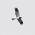 © r a s ʞ e (@nathancraske) Twitter profile photo