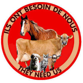 2androse's profile picture. Founder of Canadian Volunteers for the Protection of Animals (CVPA), based in Montreal, QC 
https://t.co/pASUuYyZrj…