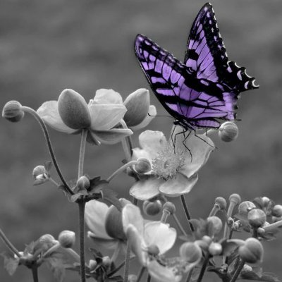 Hay historia que deberían ser leídas ✨ Si son de la vida real y nos hacen reflexionar más 🦋