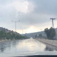 السفياني الثقفي 🦅 (@mshary2123) 's Twitter Profile