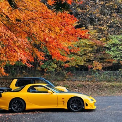 猫ツイート多め酒飲みアカウントFBRご自由に〜無言歓迎 関東 ♀です。 🐱🍁#RX7 #FD3S