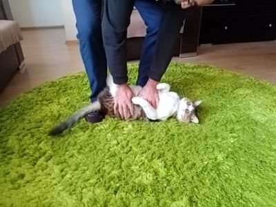 ebenzer50342100's profile picture. 