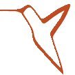 Patria es solidaridad es una organización humanitaria que participa de procesos sociales y políticos en defensa y promoción de los DD.HH