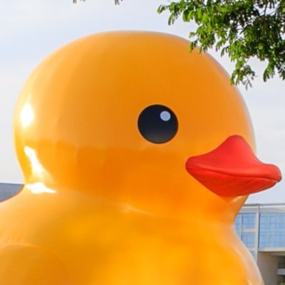 JABDUCK458's profile picture. 30⬆️ / ANYWAY DUCK-JIL HAPPY DUCK-JIL / POWER 9DOG / this duck eats (almost) everything = maybe a poison 2U