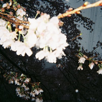 hutsugaichibann's profile picture. 