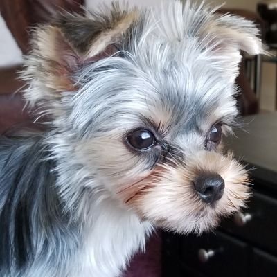 lynne_deedaaloy's profile picture. 